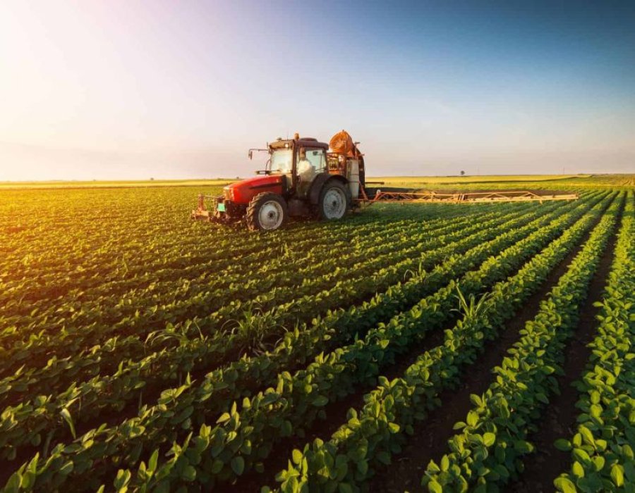 IBGE prevê safra recorde de 346 milhões de toneladas em 2025